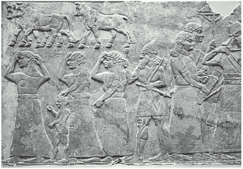 14u - Ashurnasirapal II, semi-divine appointed king due to his mixed DNA, giving him physical attributes over the others
