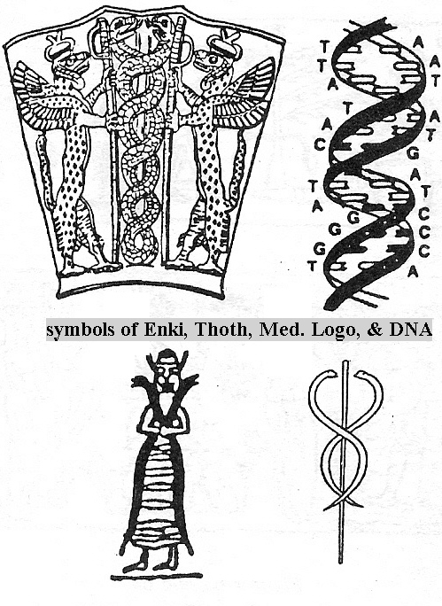 1c - dnas historic symbols